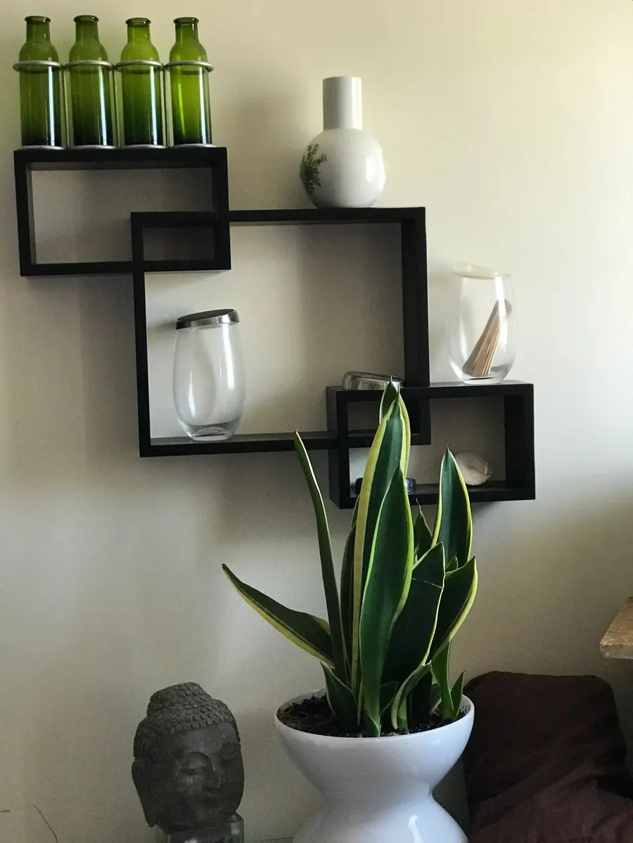 Studio shelf with green glass bottles, plants, and a stone Buddha head